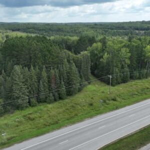 13.87 acres in Angora, MN (St. Louis County) - APN 215001001395 (photo 2)